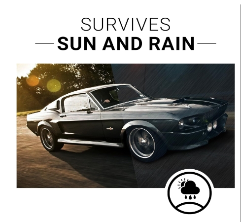Best ATV Plastic Restorer
