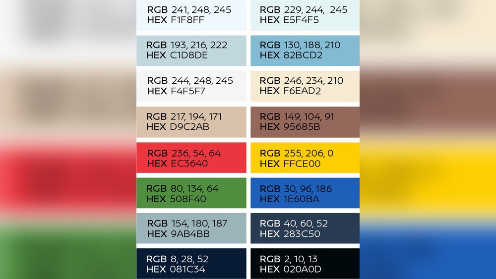 What Are Nissan Colors